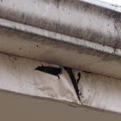 #15 Gutters (damage to fascia due to clogged gutters)